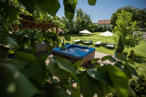 Kebun di luar Villa Venus