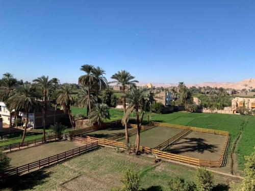 - une vue aérienne sur un parc planté de palmiers dans l'établissement Cleopatra Hotel Luxor, à Louxor