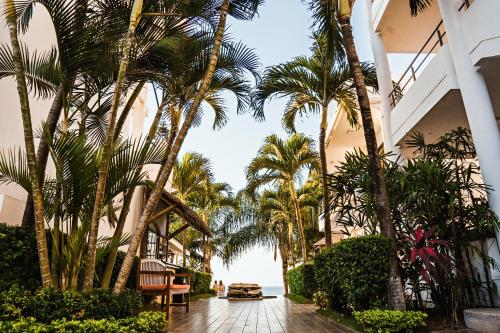 a group of palm trees in a courtyard with a car at Hotel Vistalmar in Manta