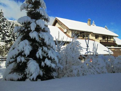 Village vacances du Haut-Bréda aux 7 Laux durante el invierno