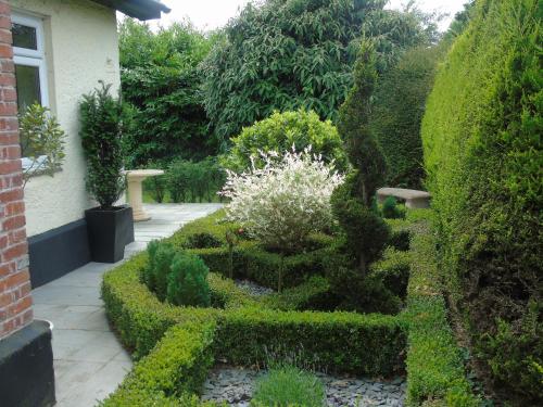 een tuin met groene planten en een pad bij The Old School B&B in Chichester