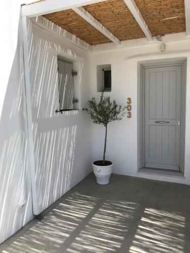 a plant in a pot in a room with a door at Livin Mykonos Hotel - Adults Only in Mýkonos City