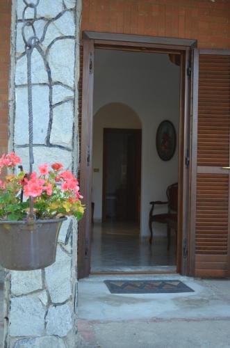 an open door with a pot of flowers on the wall at la casa di sotto in Alpignano