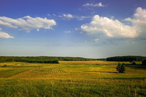 pole trawy z niebieskim niebem i chmurami w obiekcie Chalet avec vue unique w mieście Kętrzyn