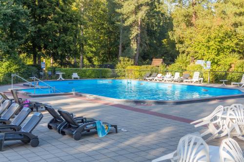 a swimming pool with lounge chairs and a group at Casita Boschberg in Biddinghuizen