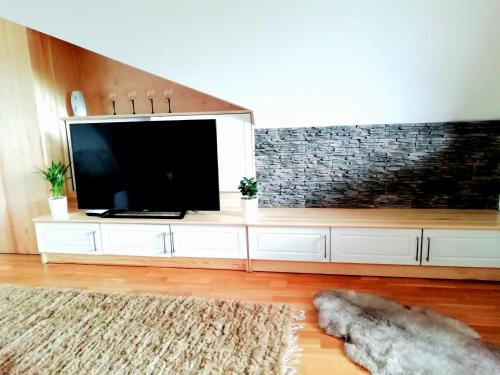 TV in/ali zabaviščno središče v nastanitvi Apartman Aisha