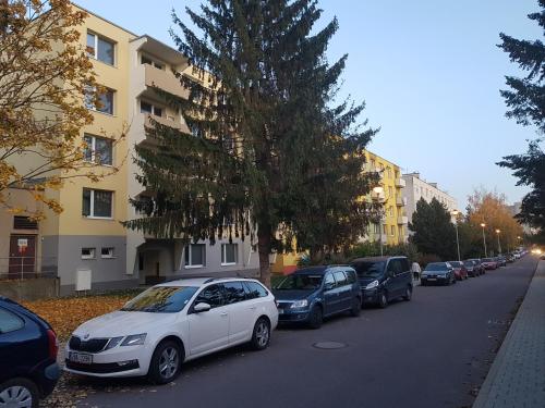 rząd samochodów zaparkowanych na ulicy obok budynku w obiekcie 1+1 Znojmo w Znojmie