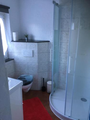 a bathroom with a shower and a toilet at Casa Rustica in Magadino