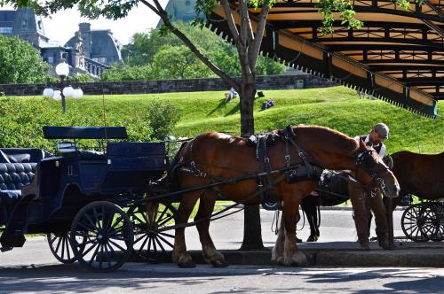 Billede fra billedgalleriet på Hotel Manoir D'Auteuil i Quebec City