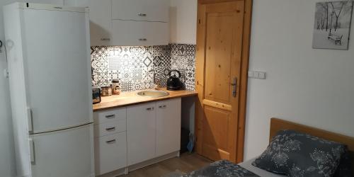 een kleine keuken met een wastafel en een koelkast bij Ubytování Na Vyhlídce 143 in Benátky nad Jizerou