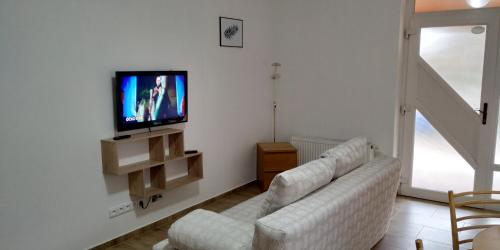 een woonkamer met een bank en een flatscreen-tv bij Ubytování Na Vyhlídce 143 in Benátky nad Jizerou