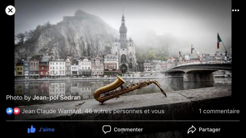 Fotografie z fotogalerie ubytování Les Voisins De Mr Sax v destinaci Dinant