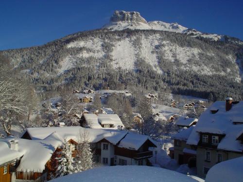 una montagna coperta di neve con case di fronte di Villa Salis ad Altaussee