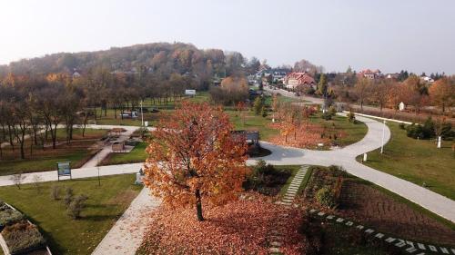 ein Park mit einem Baum und einer gewundenen Straße in der Unterkunft Hotel Karczówka in Kielce