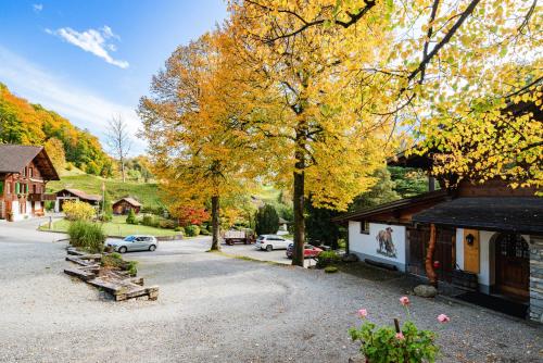 A garden outside Hotel Lindenhof by Crossworld AG