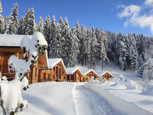 een lodge in de sneeuw met sneeuw bedekte bomen bij Alpenchalets Mair in Sesto