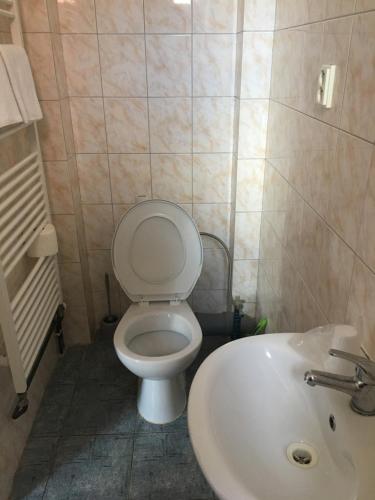 a bathroom with a white toilet and a sink at Penzion T&T in Cheb