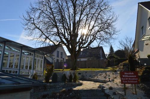 a tree in front of a building with a sign at BnB zum Schlüssel in Unterehrendingen