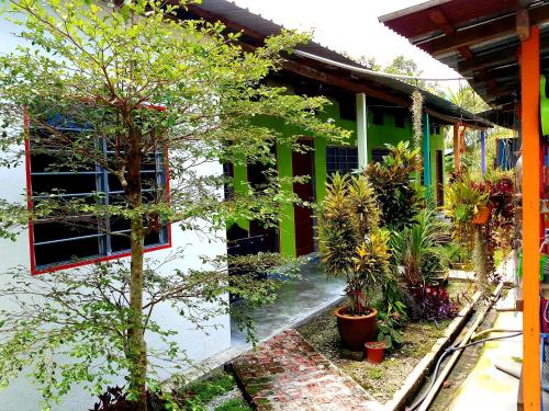 un bâtiment avec beaucoup de plantes et d'arbres dans l'établissement Tony’s Guesthouse at Teluk Bahang, à Batu Ferringhi