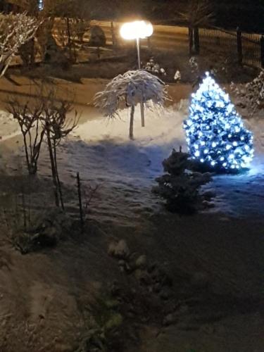 een kerstboom met blauwe lichten in de sneeuw bij Staś -przy szkole nr 3 w Skawie in Skawa