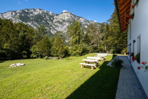 een rij picknicktafels in een veld met bergen bij Bohinj Apartments Goldhorn Kingdom in Bohinj