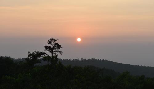 a sunset over a hill with a tree in the foreground at Viraz Valley in Gokarna