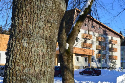 Gallery image of Hotel Srní depandance - Šumava in Srní