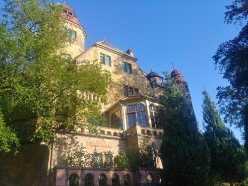 um edifício antigo com árvores em frente em Appartment Sonneck em Freiburg im Breisgau