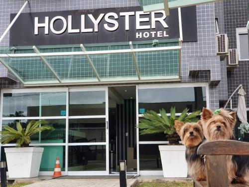 Mājdzīvnieks vai mājdzīvnieki, kas uzturas naktsmītnē Hollyster Hotel kopā ar viesiem