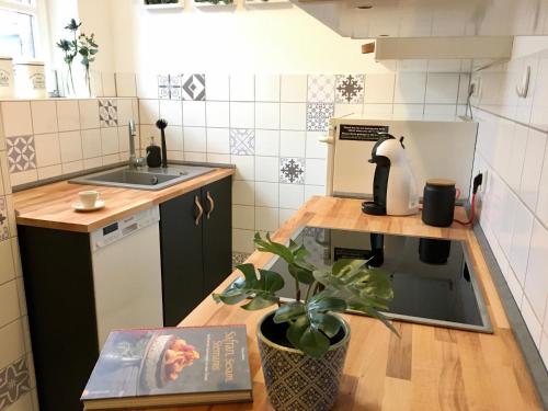 - une cuisine avec un évier et une table avec une plante en pot dans l'établissement Heidelberg Apheartments, à Heidelberg