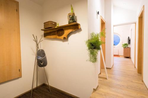 un pasillo con plantas y un estante en la pared en Appartement Christiane, en Bludenz