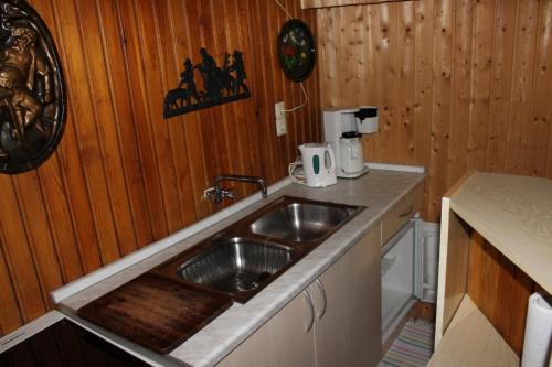 a kitchen with a sink and a counter at Ferienhaus Wittmann in Kurort Oberwiesenthal