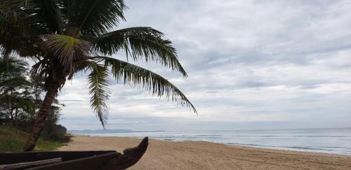 uma praia com uma palmeira e o oceano em Rosvilla Guest House em Benaulim