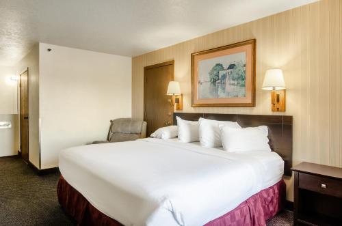 a large white bed in a hotel room at Americas Best Value Inn & Suites Ft Collins E at I-25 in Fort Collins