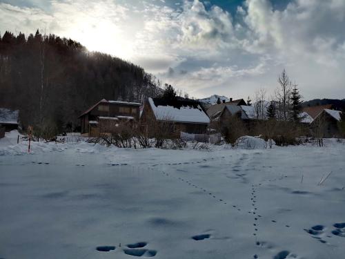 um campo coberto de neve com casas e edifícios em Chaty Javorina em Javorina