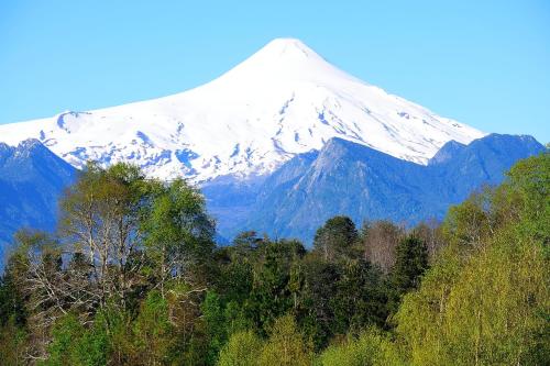 uma montanha coberta de neve à distância com árvores à frente em Cabaña Caburgua Hermosa vista al Volcán, Senderos del Bosque em Pucón