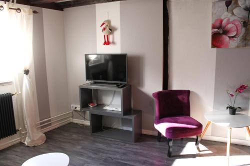 salon z telewizorem i fioletowym krzesłem w obiekcie Appartement les Violettes w mieście Colmar