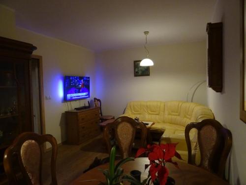 TV i/ili zabavni centar u objektu Apartament w centrum, garaż i jakuzzi w cenie