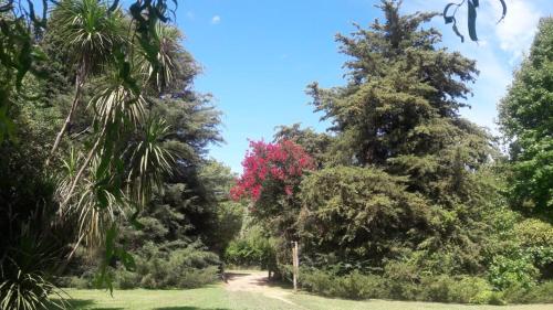 Zahrada ubytování Casa quinta Los Alazanes