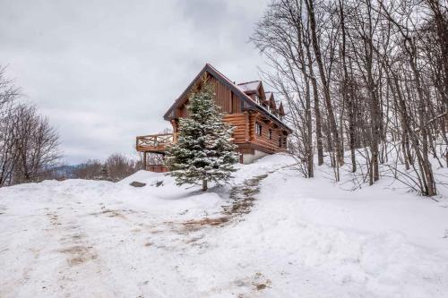 Objekt RCNT Chalets Mont-Tremblant zimi