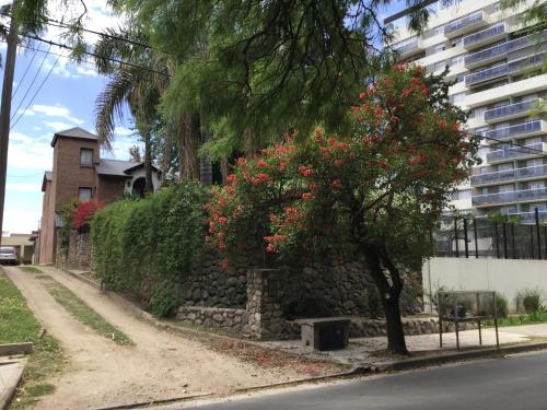 un arbre avec des fleurs rouges à côté d'un mur de pierre dans l'établissement RIO y VERDE, à Córdoba