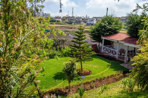 einen Garten mit einem kleinen Baum und einem Haus in der Unterkunft Pine View Stay Ooty in Udagamandalam