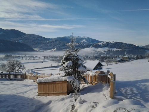 a christmas tree covered in snow next to a fence at Nöglhof in Radstadt