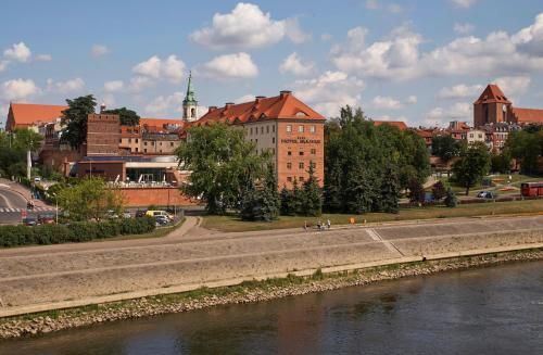 Blick auf eine Stadt mit Fluss und Gebäuden in der Unterkunft Hotel Bulwar in Toruń