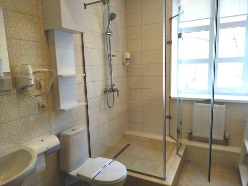 een badkamer met een douche, een toilet en een wastafel bij Hotel Business Apartments in Dnipro