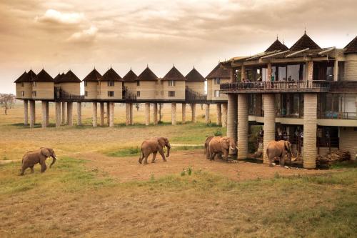 un groupe d'éléphants marchant devant un bâtiment dans l'établissement Salt Lick Safari Lodge, à Tsavo