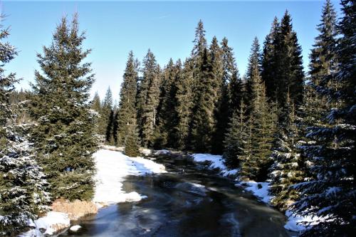 Un paisaje natural cerca de la pensión