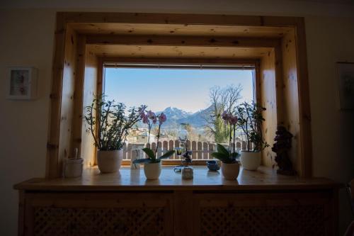 a window with potted plants on a wooden table at Haus Bergland in St. Wolfgang