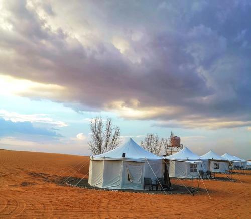 una fila de tiendas en medio de un desierto en Alsarmadi Desert Camp, en Shāhiq