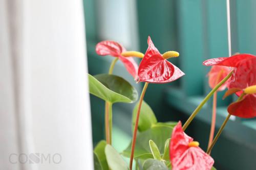 um grupo de flores vermelhas num vaso em Shanghai Cosmo World Union Service Apartment em Xangai